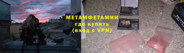 трава Аркадак