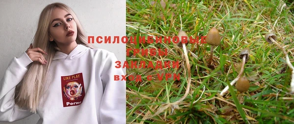 трава Аркадак