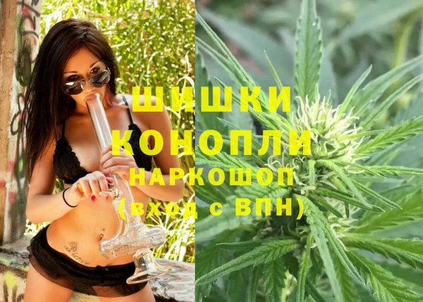 шишки Армянск