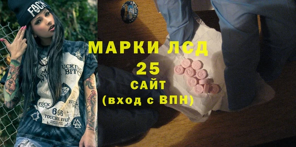 шишки Армянск
