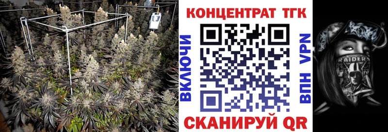Дистиллят ТГК концентрат  Пудож 